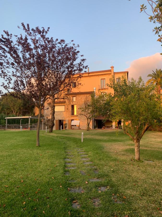 La Casa Di Ester Nel Cilento Angellara Exteriör bild