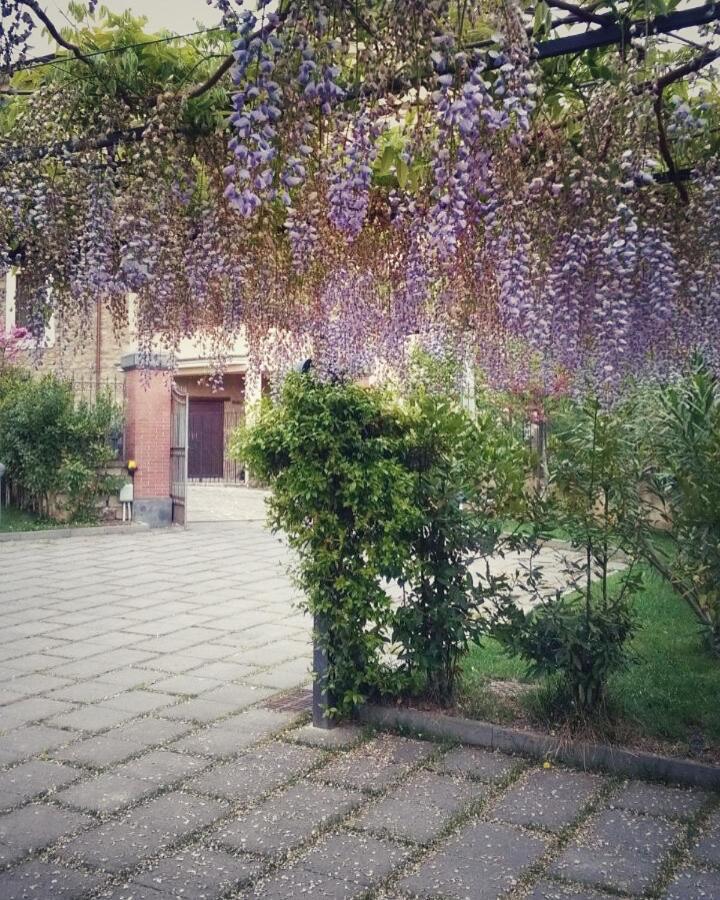La Casa Di Ester Nel Cilento Angellara Exteriör bild