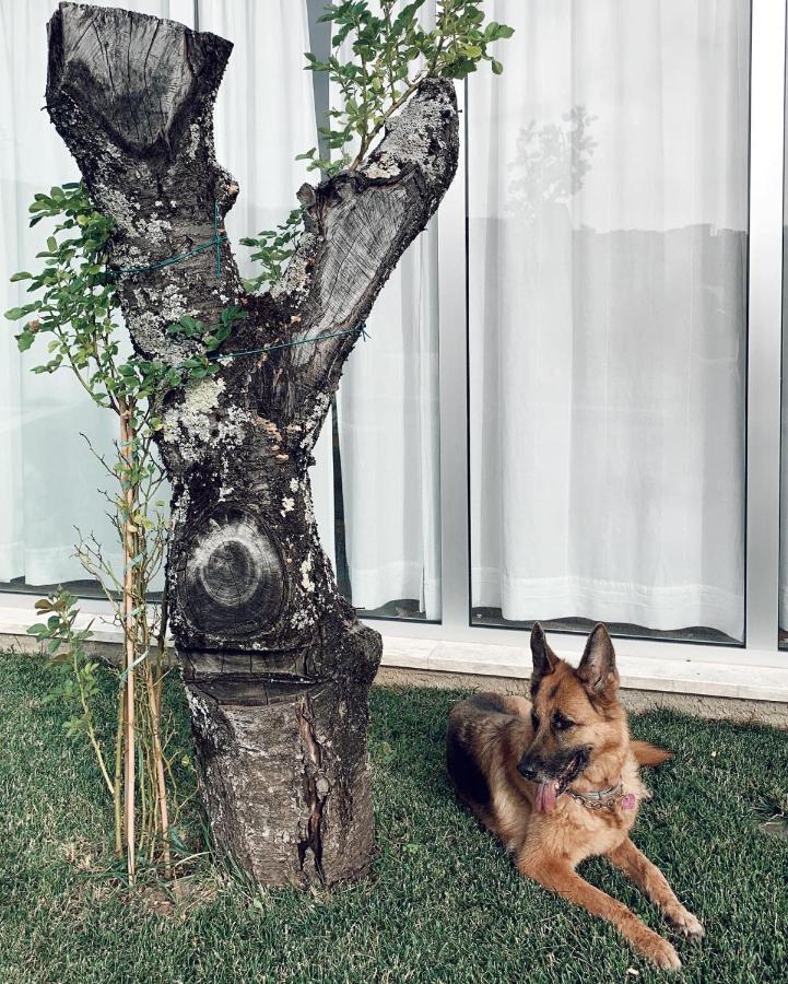 La Casa Di Ester Nel Cilento Angellara Exteriör bild