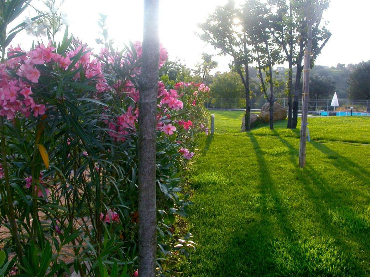 La Casa Di Ester Nel Cilento Angellara Exteriör bild